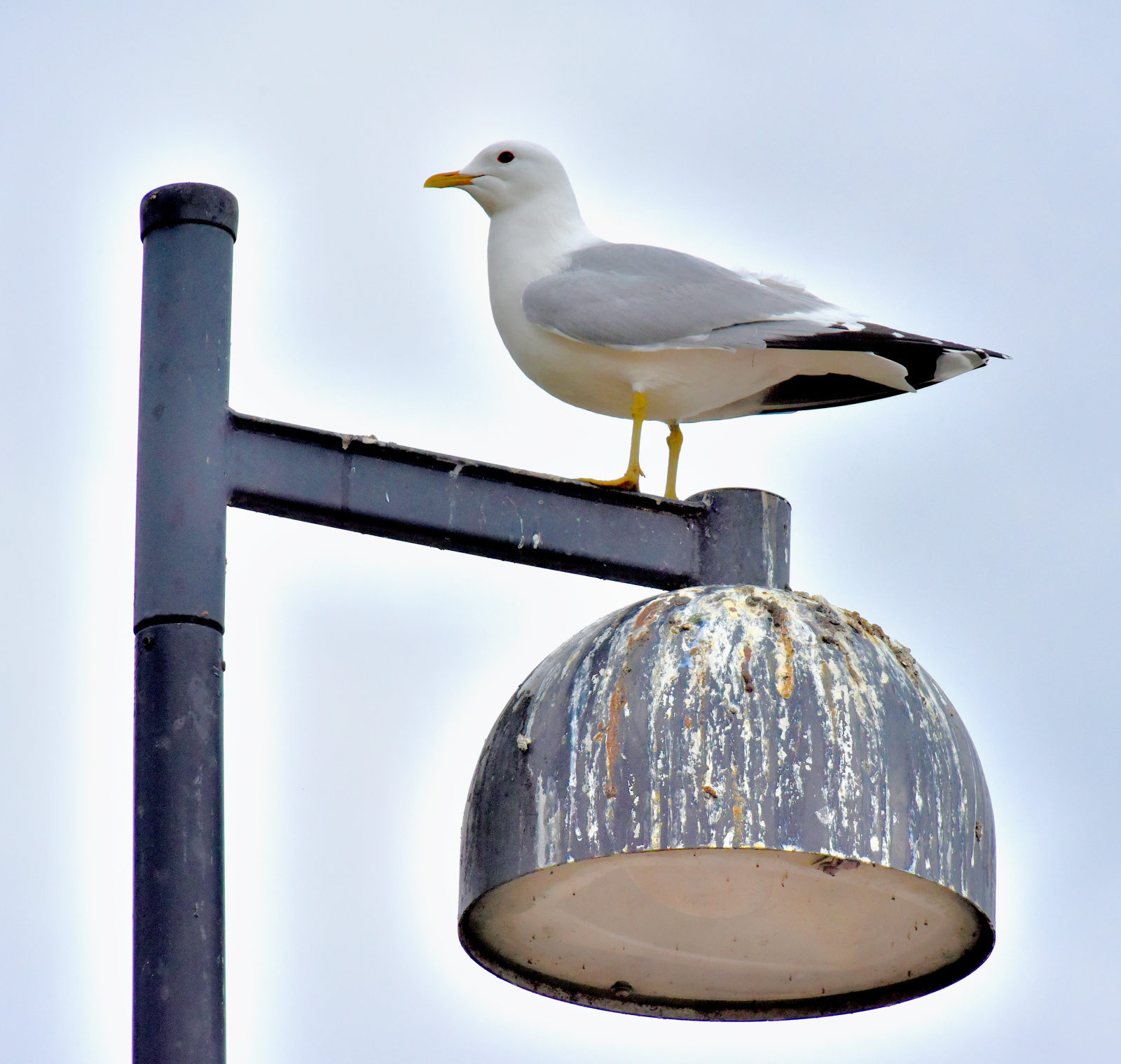 Valokuvaaja: Reijo Juurinen
