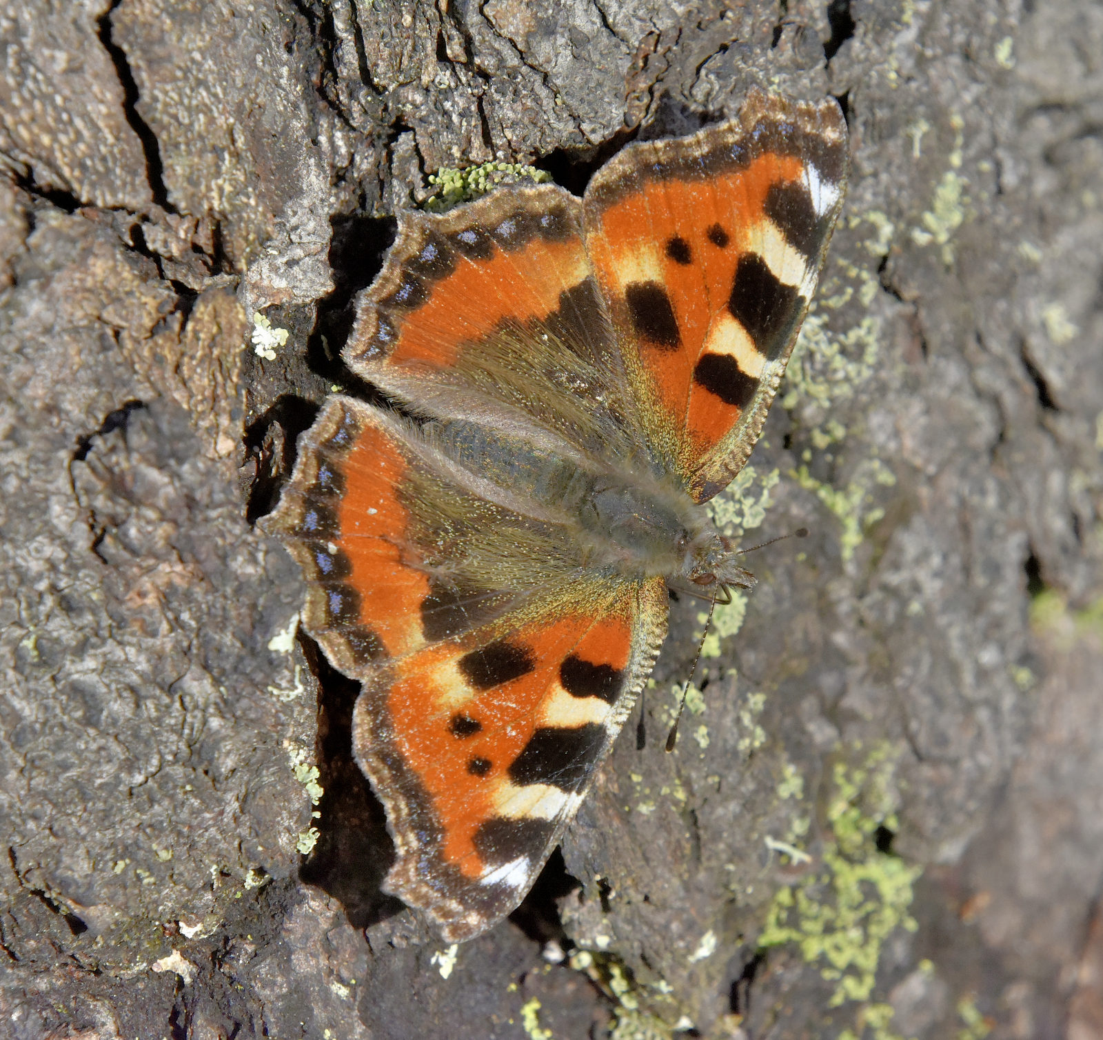 Valokuvaaja: Reijo Juurinen