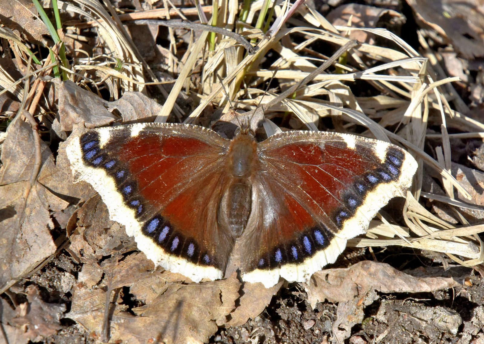 Valokuvaaja: Reijo Juurinen
