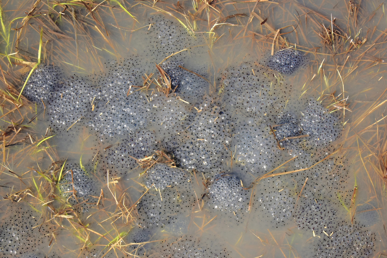 Valokuvaaja: Reijo Juurinen
