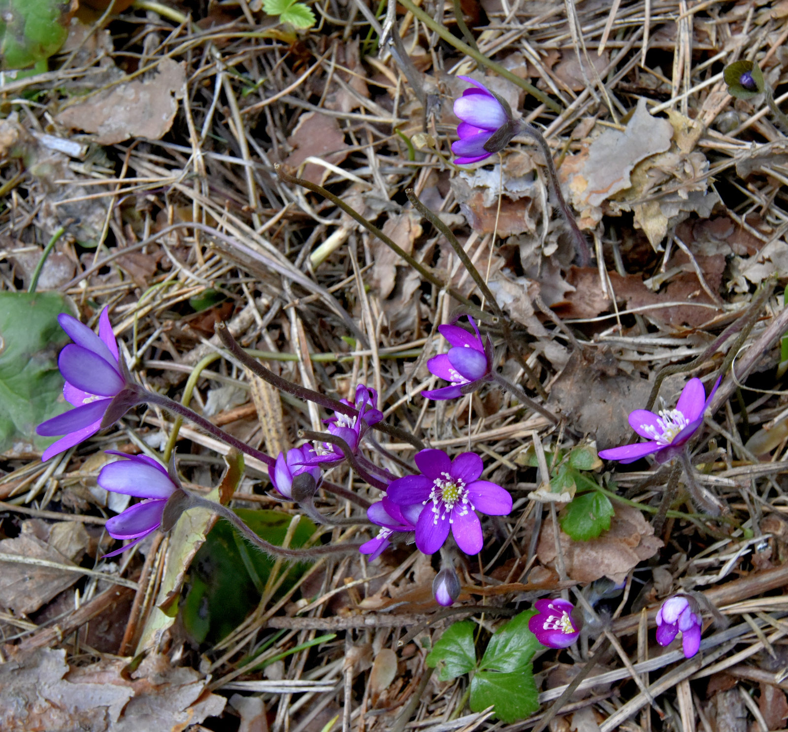 Valokuvaaja: Reijo Juurinen