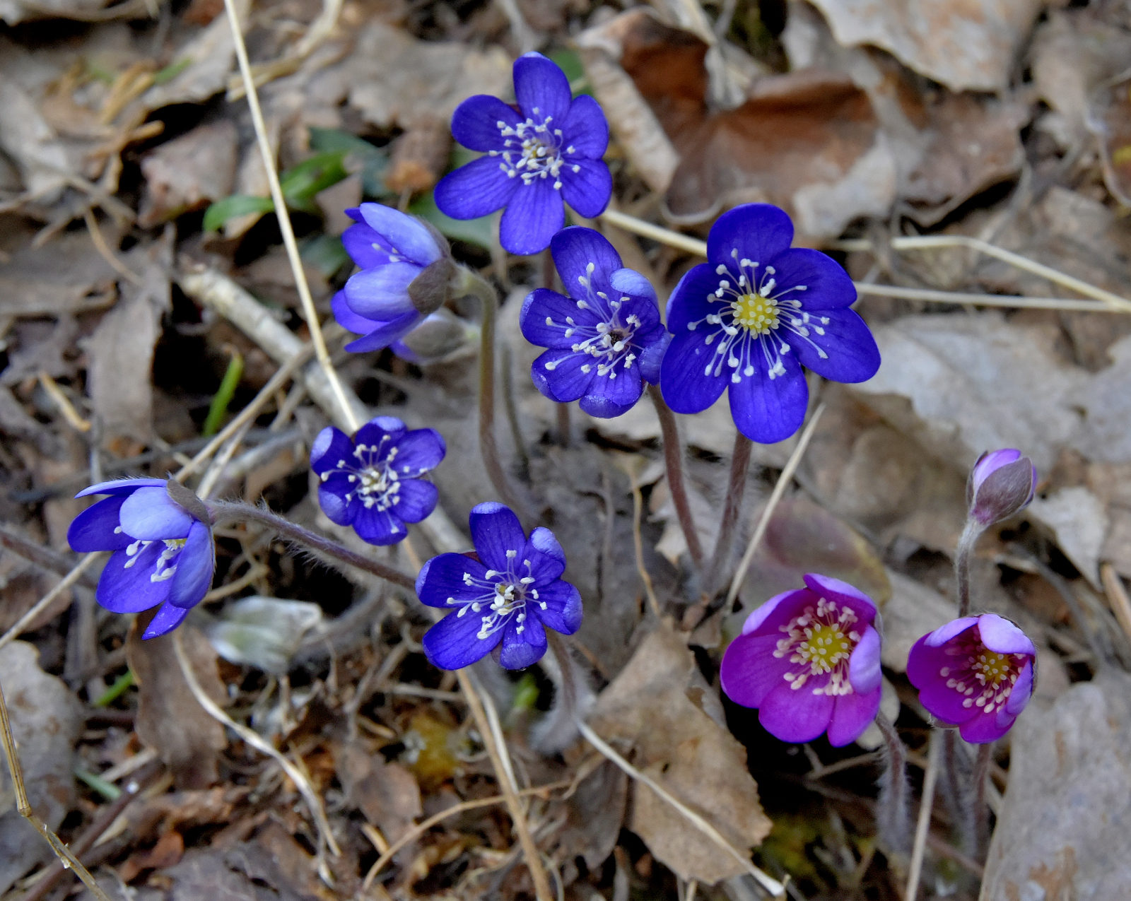 Valokuvaaja: Reijo Juurinen