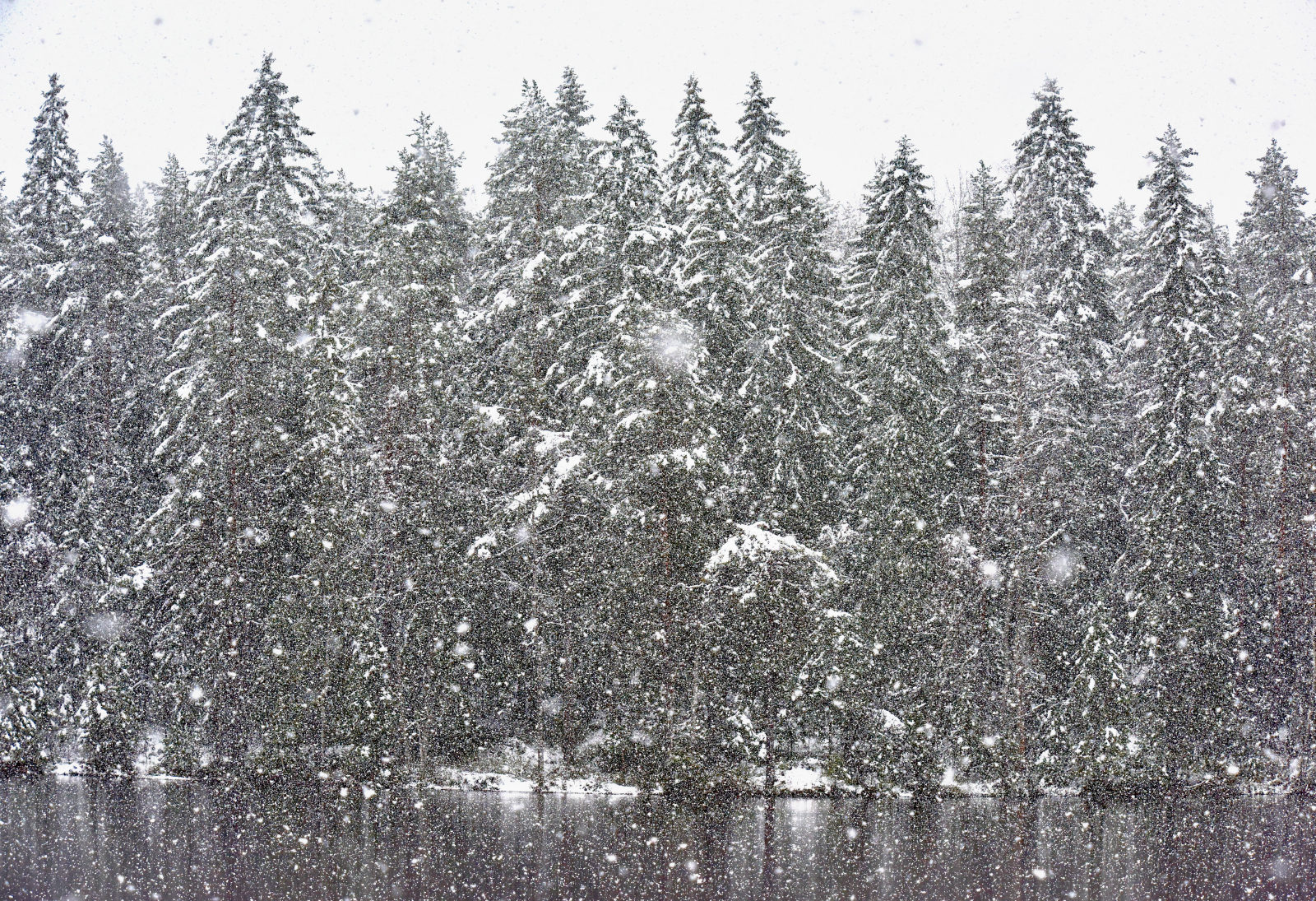 Valokuvaaja: Reijo Juurinen