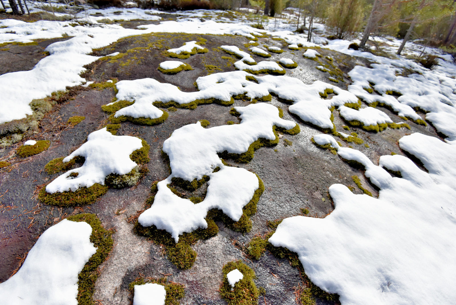Valokuvaaja: Reijo Juurinen