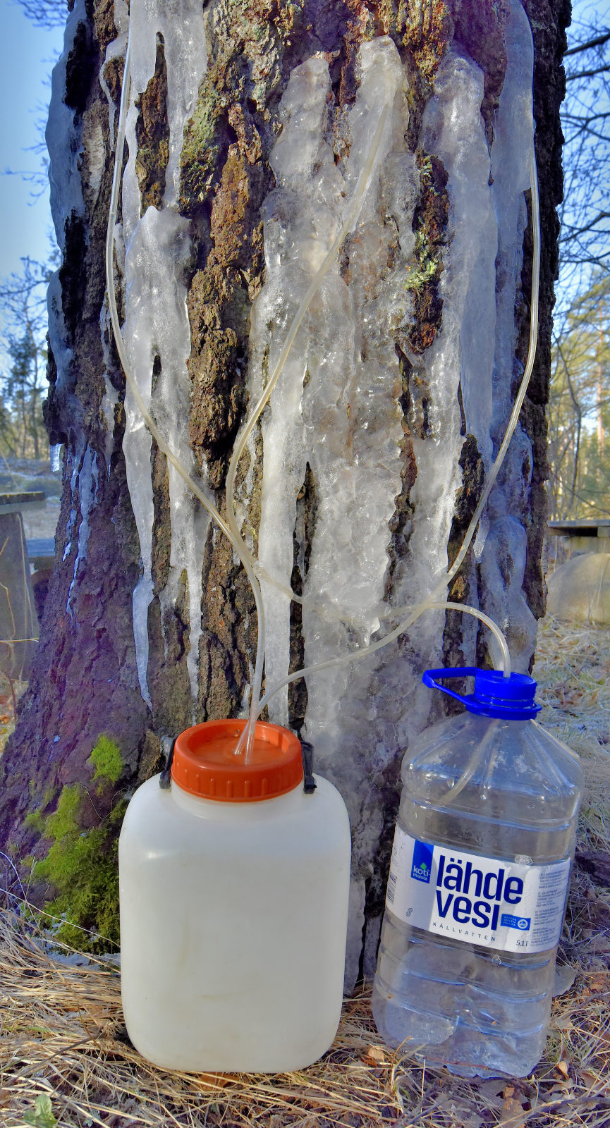 Valokuvaaja: Reijo Juurinen