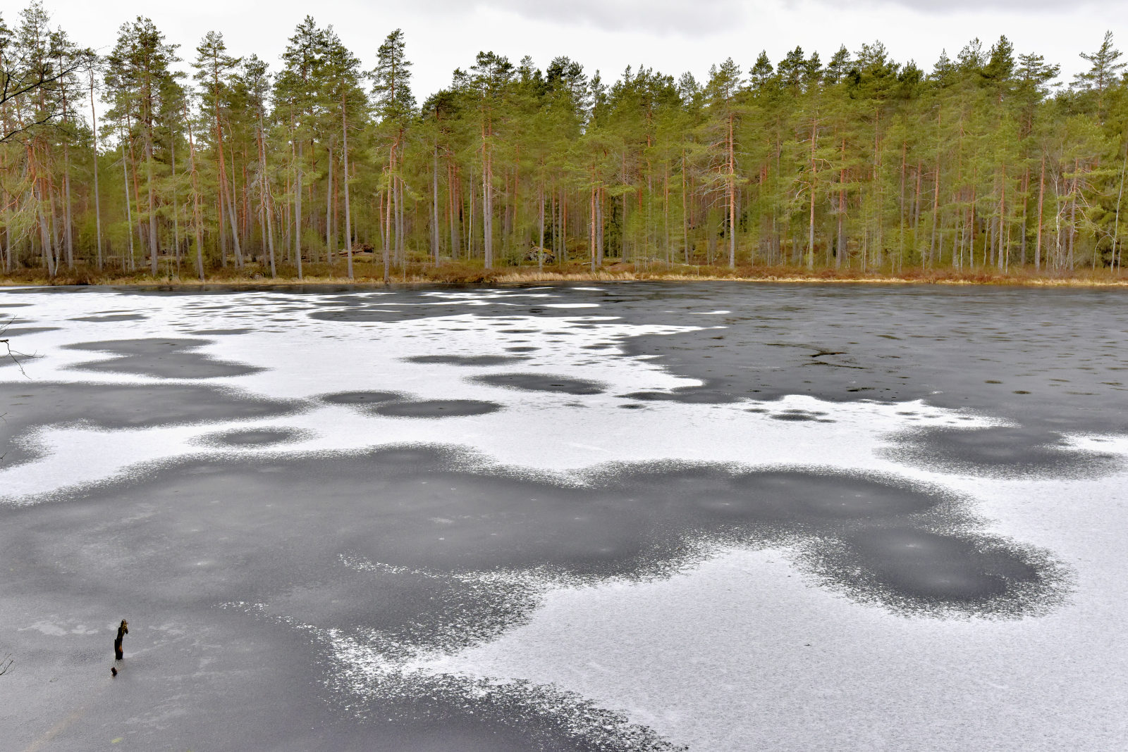 Valokuvaaja: Reijo Juurinen