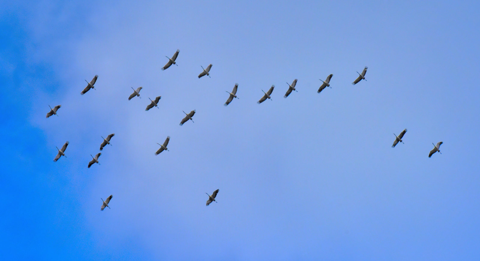 Valokuvaaja: Reijo Juurinen