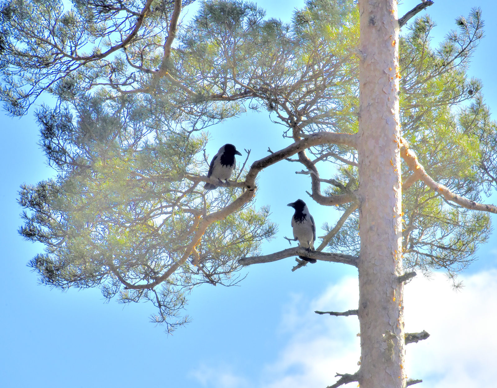 Valokuvaaja: Reijo Juurinen