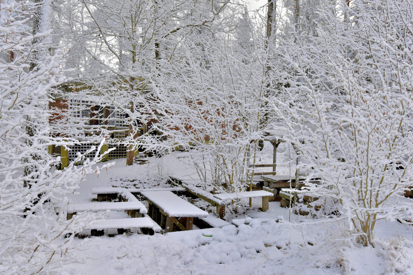 Valokuvaaja: Reijo Juurinen