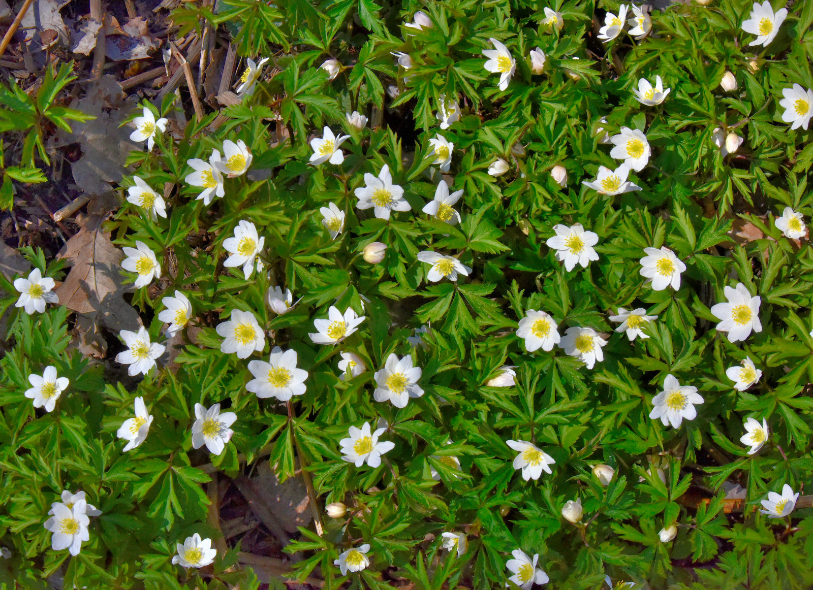 Valokuvaaja: Reijo Juurinen