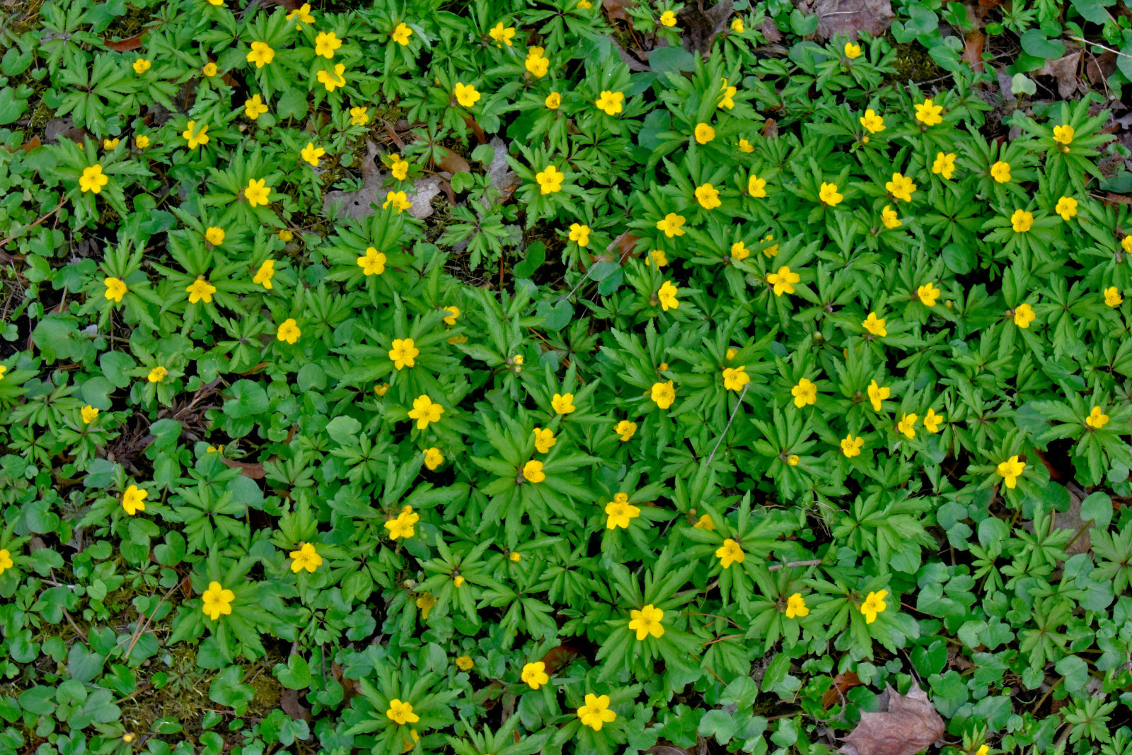 Valokuvaaja: Reijo Juurinen Valokuvaaja: Reijo Juurinen