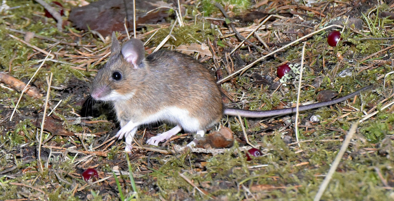 Valokuvaaja: Reijo Juurinen