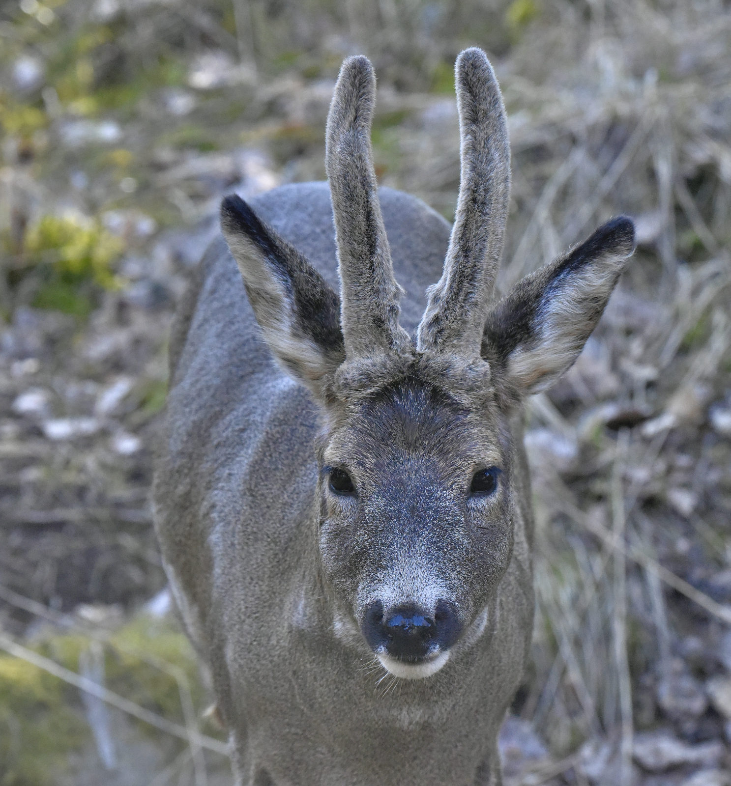 Valokuvaaja: Reijo Juurinen