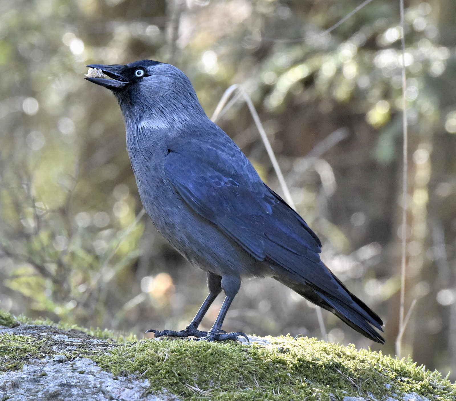 Valokuvaaja: Reijo Juurinen