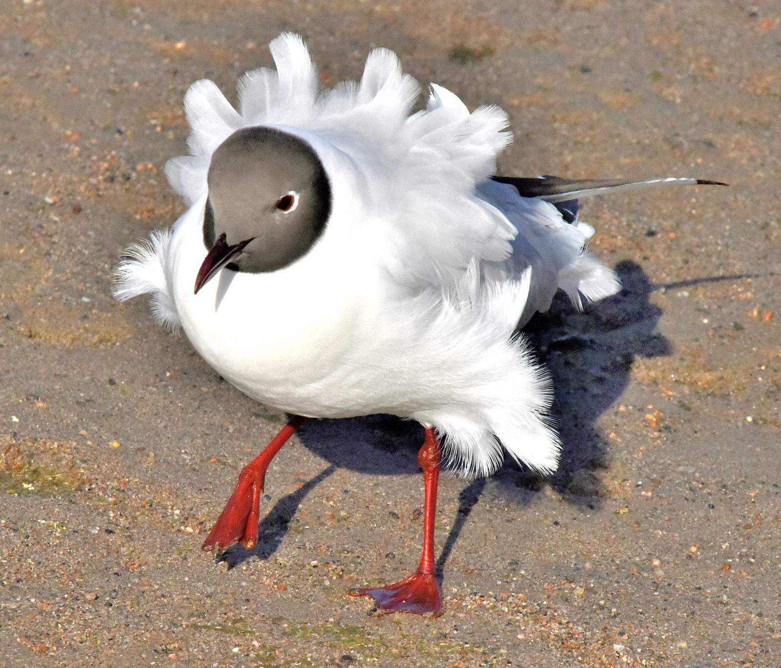 Valokuvaaja: Reijo Juurinen