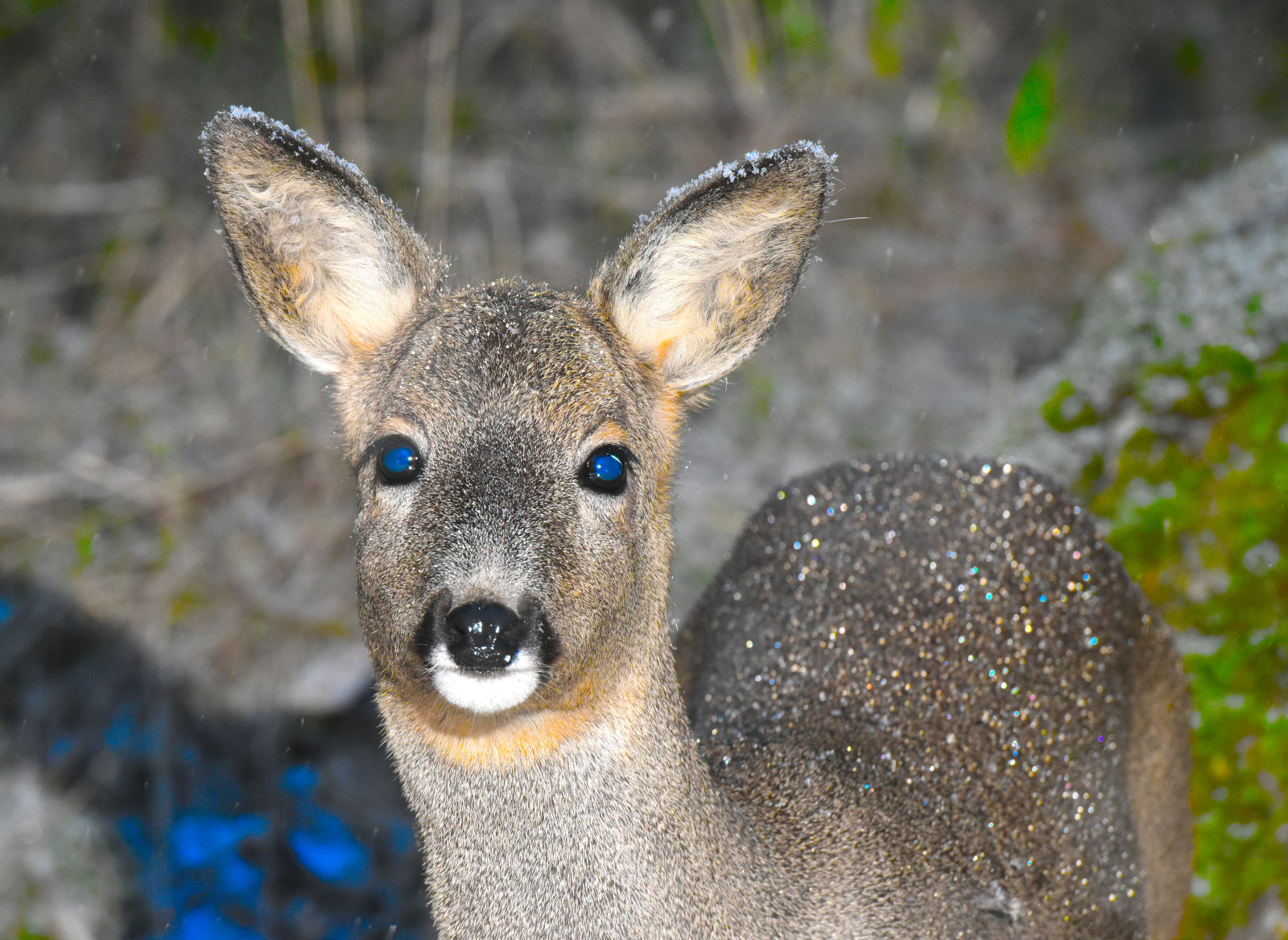 Valokuvaaja: Reijo Juurinen