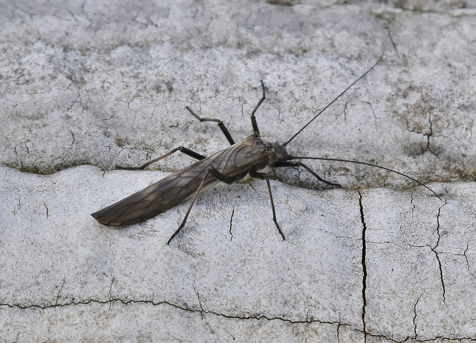 Valokuvaaja: Markku Pelkonen