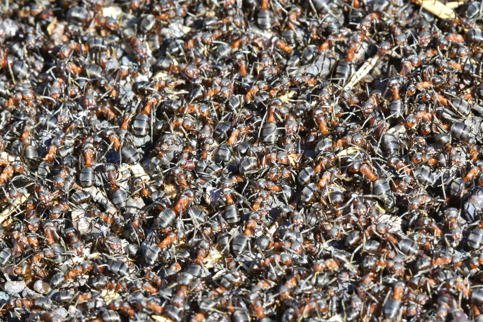 Valokuvaaja: Markku Pelkonen