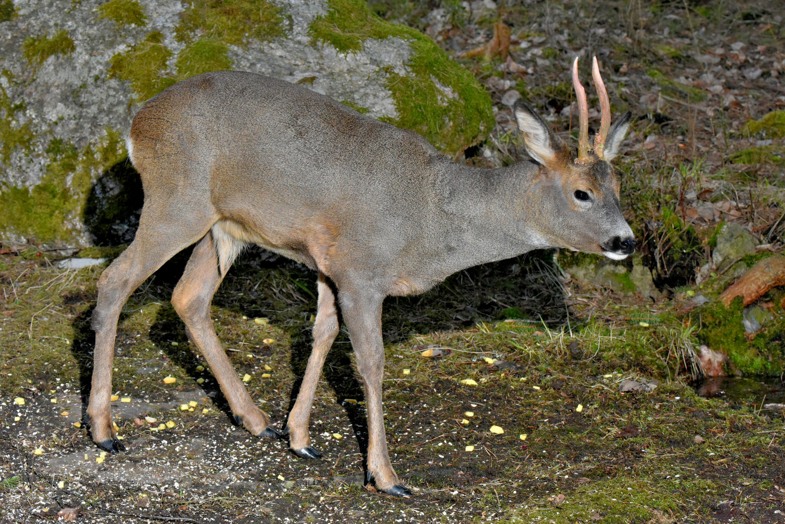Valokuvaaja: Reijo Juurinen