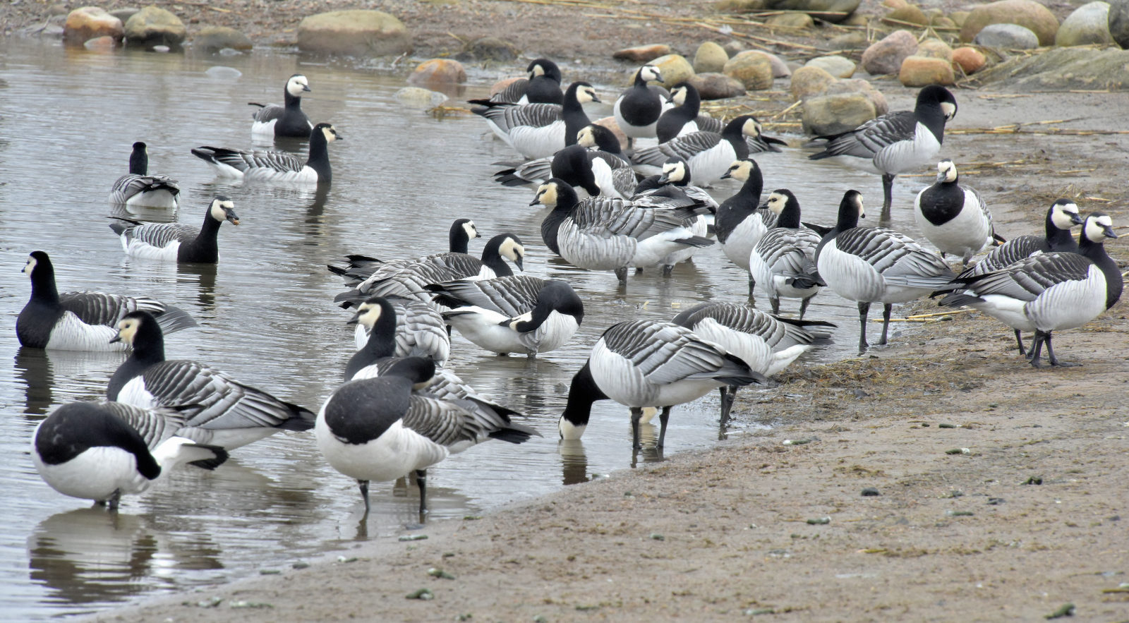 Valokuvaaja: Reijo Juurinen