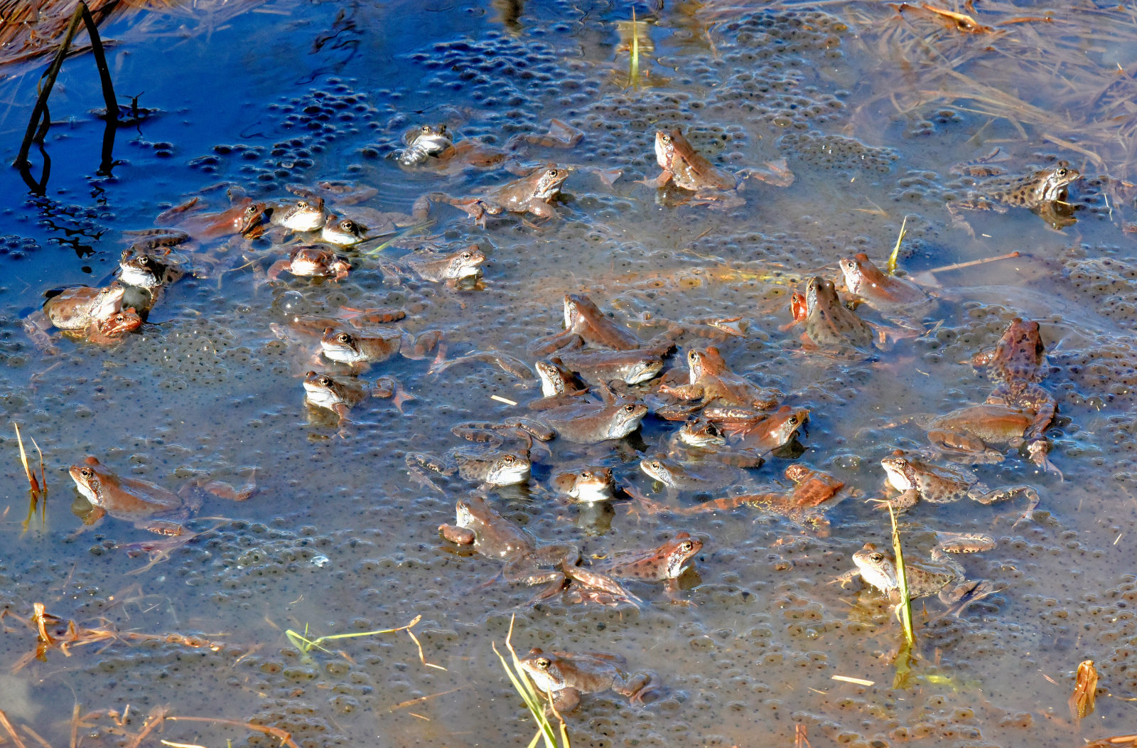 Valokuvaaja: Reijo Juurinen