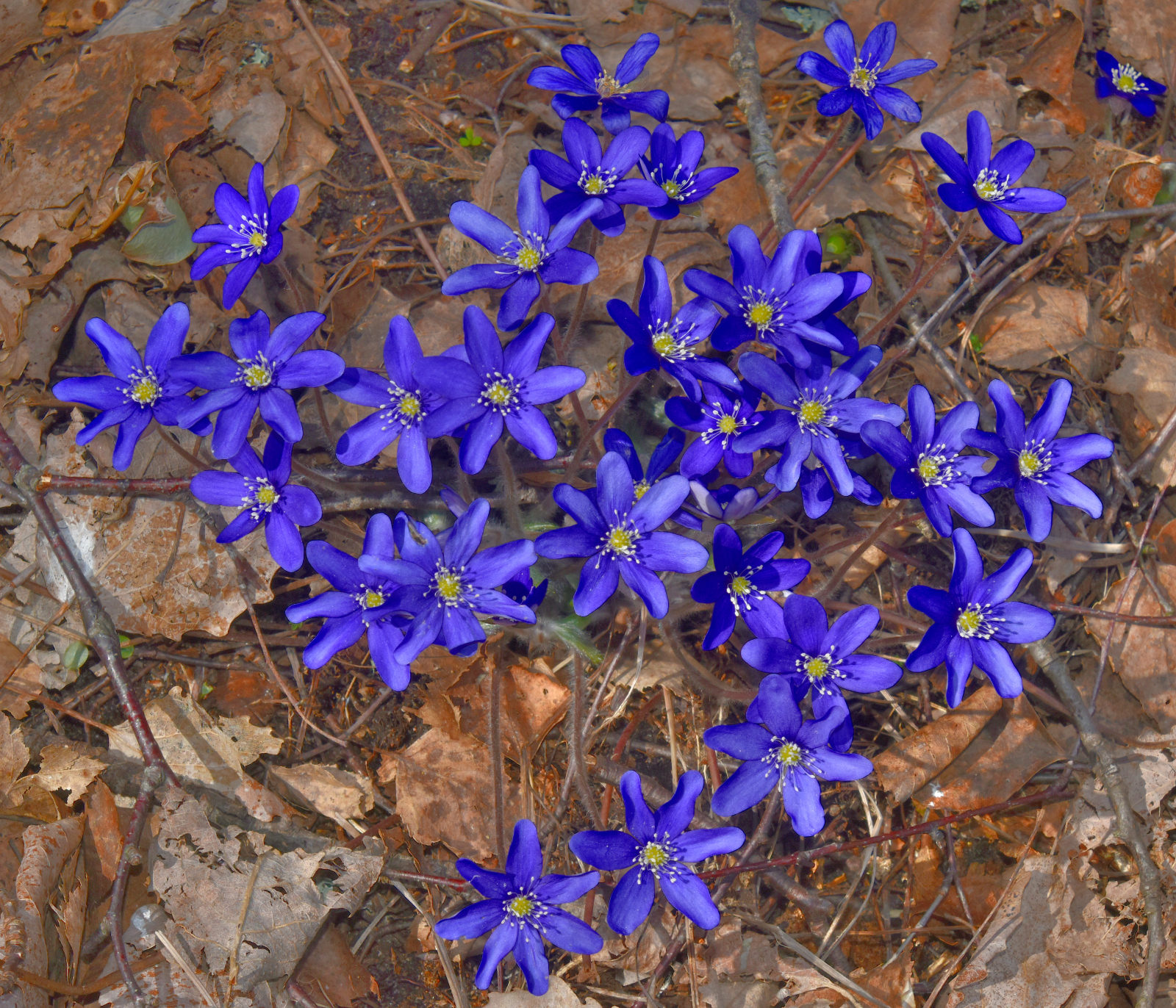 Valokuvaaja: Reijo Juurinen