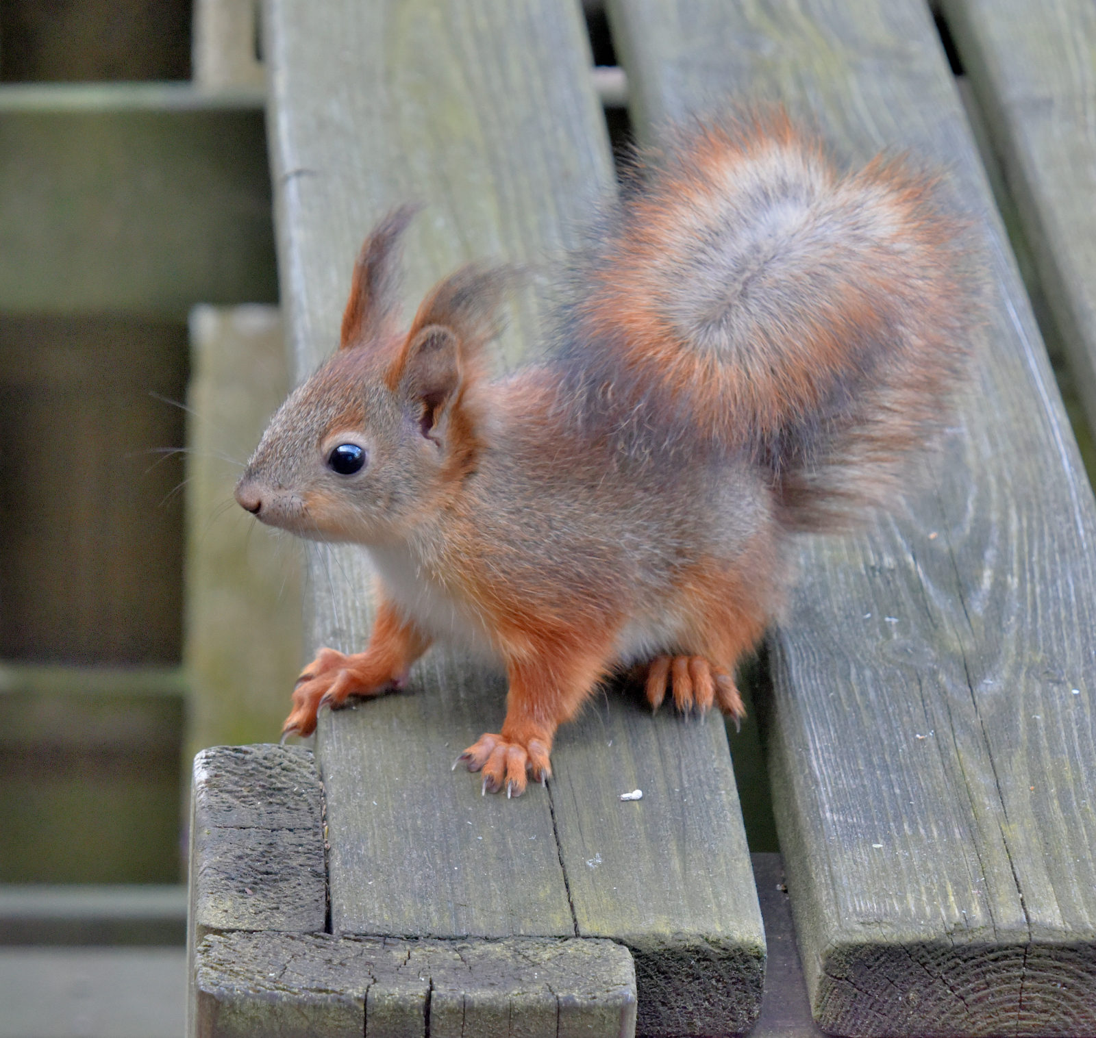 Valokuvaaja: Reijo Juurinen