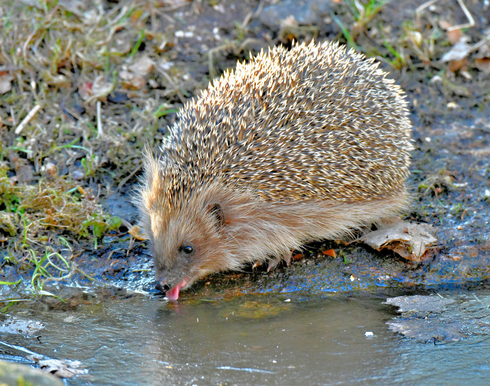 Valokuvaaja: Reijo Juurinen