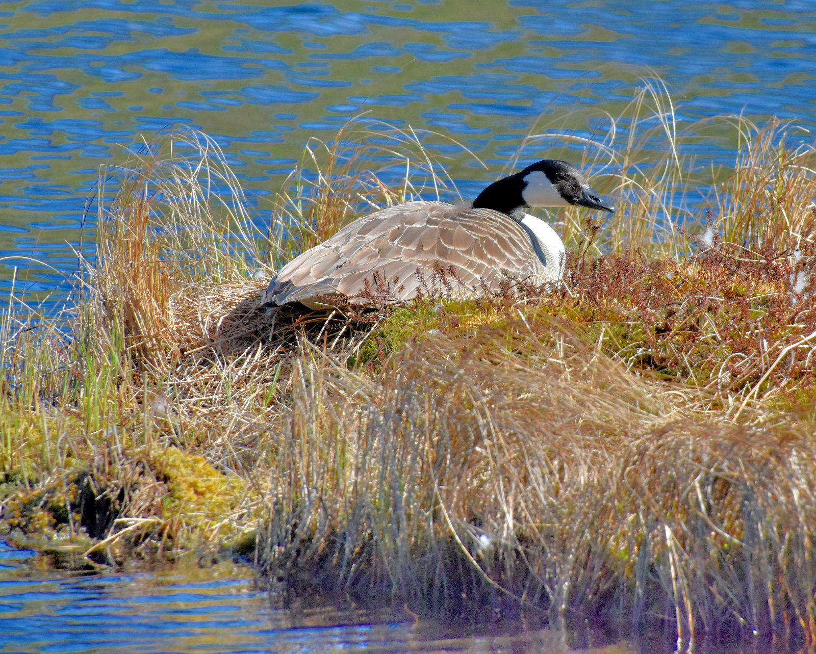 Valokuvaaja: Reijo Juurinen