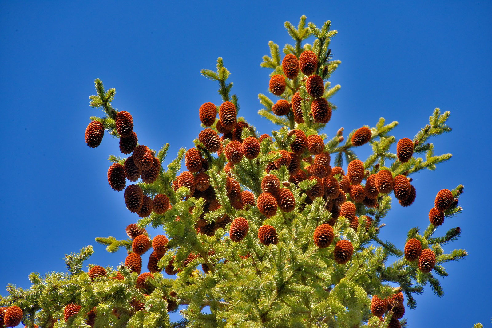 Valokuvaaja: Reijo Juurinen