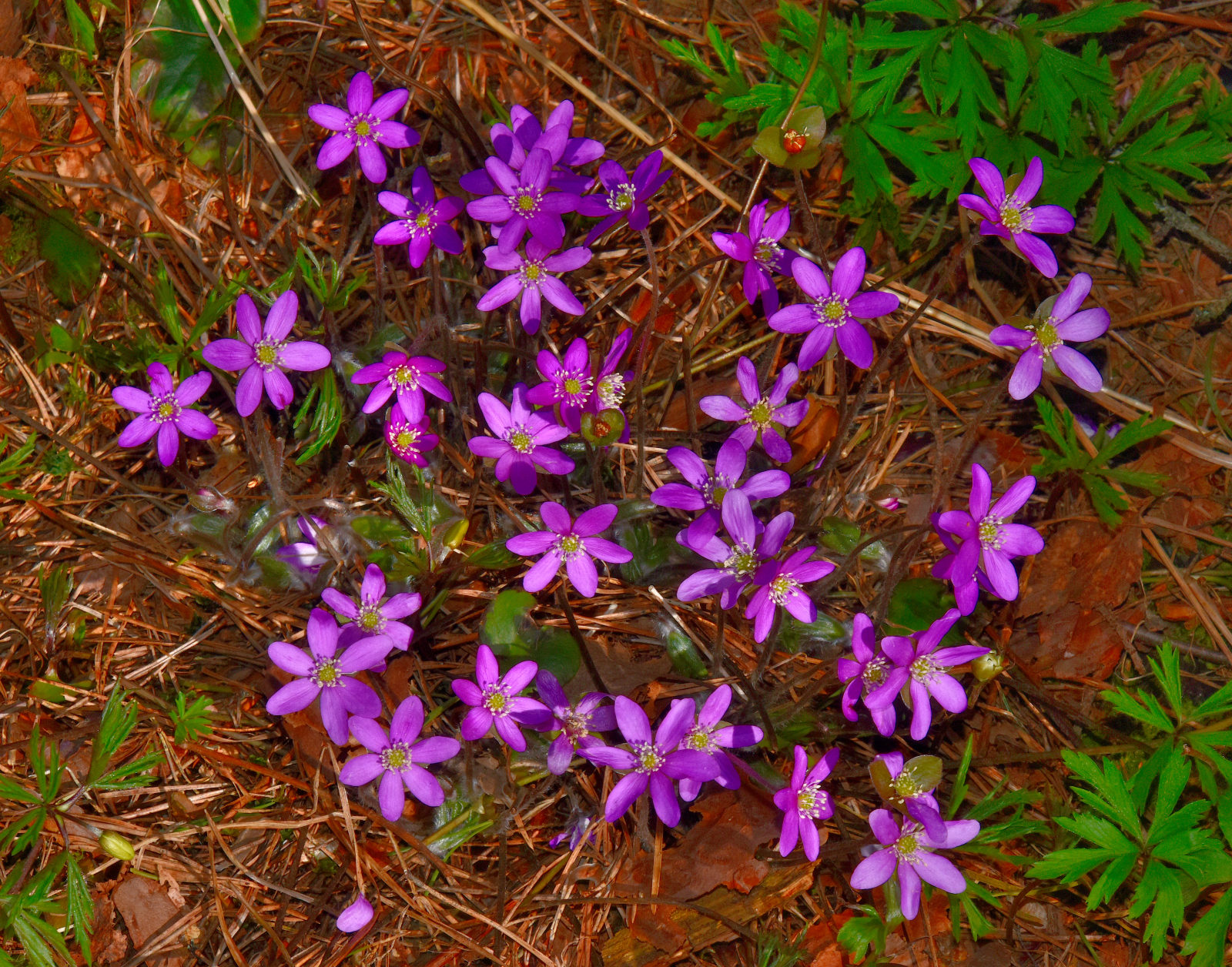 Valokuvaaja: Reijo Juurinen
