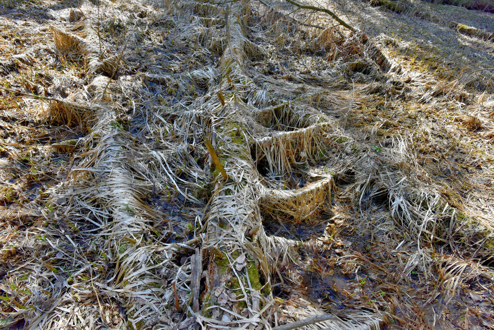 Valokuvaaja: Reijo Juurinen