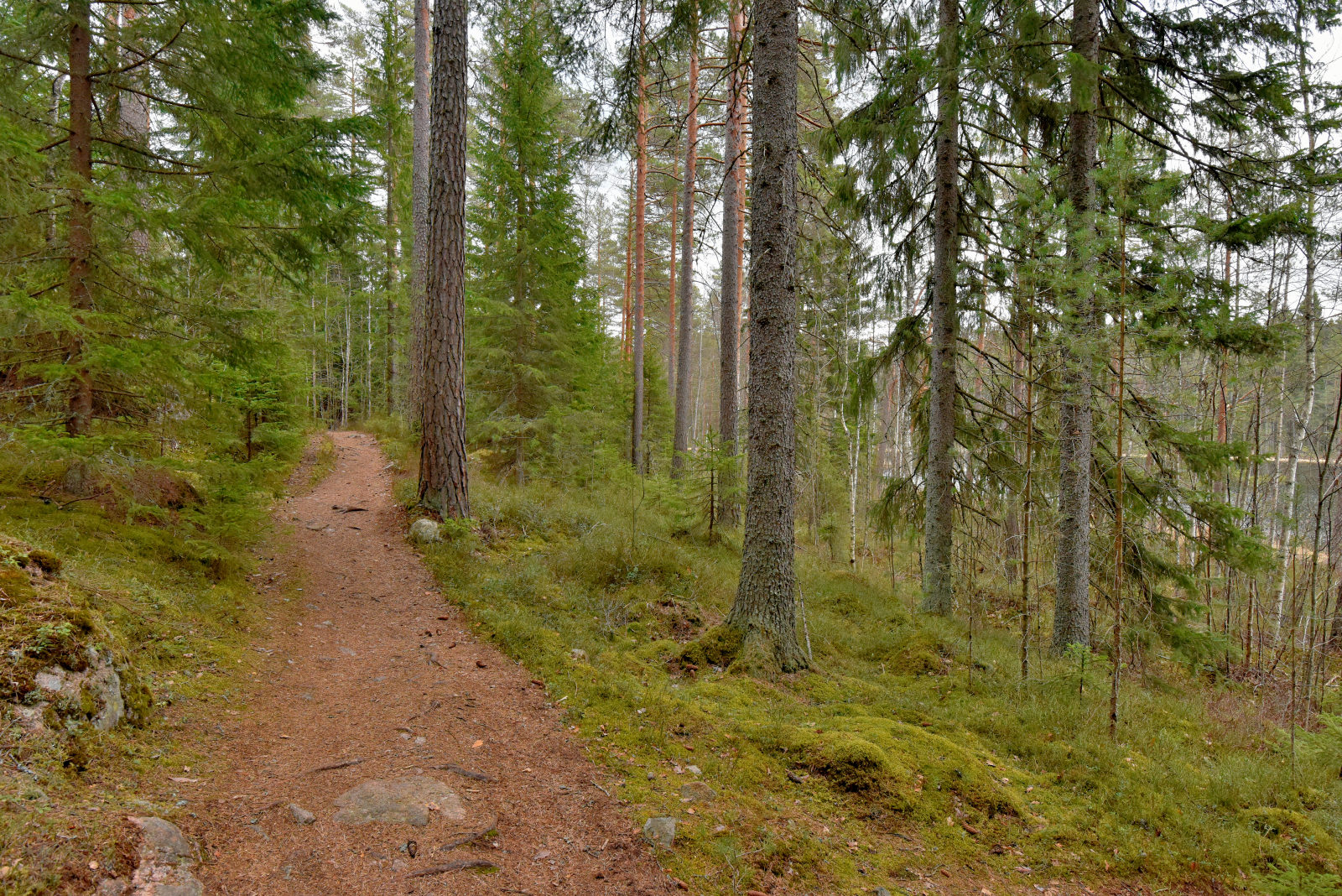 Valokuvaaja: Reijo Juurinen Valokuvaaja: Reijo Juurinen