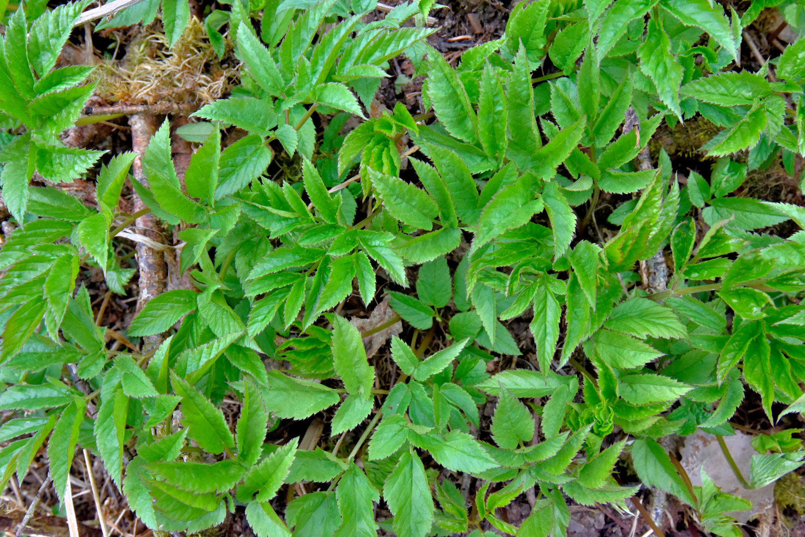 Valokuvaaja: Reijo Juurinen