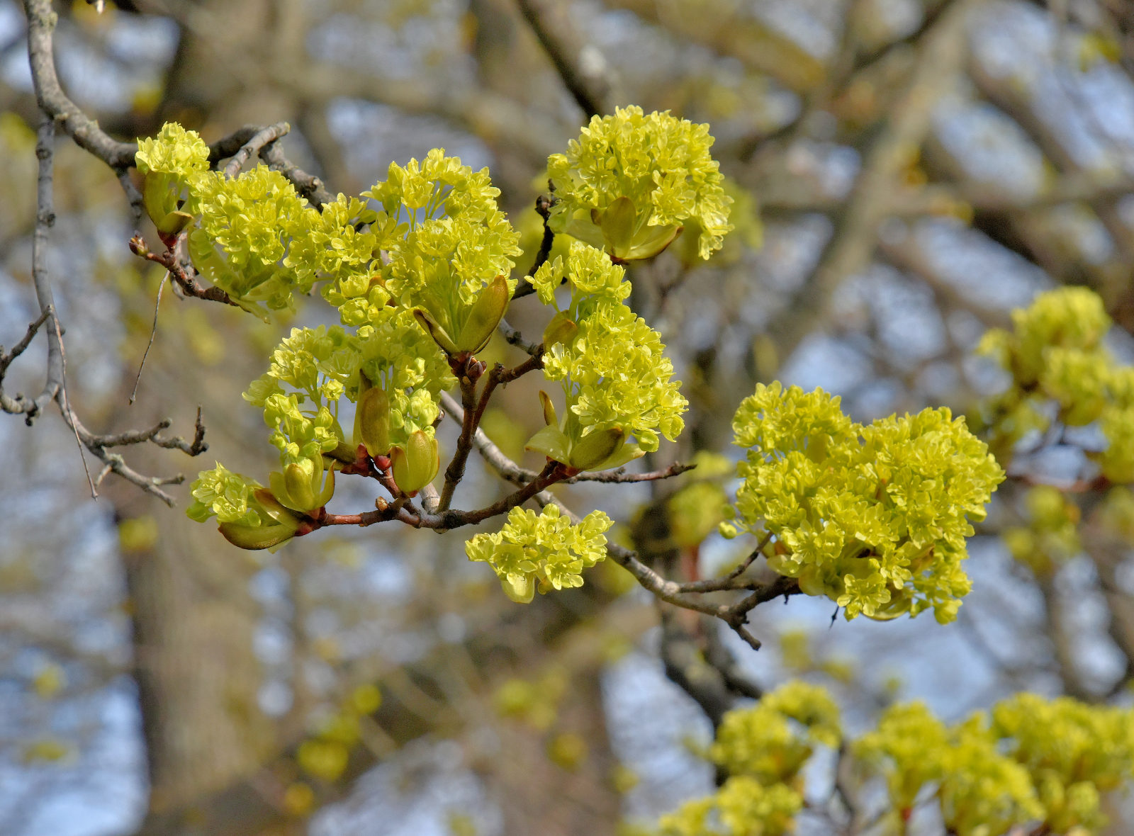 Valokuvaaja: Reijo Juurinen