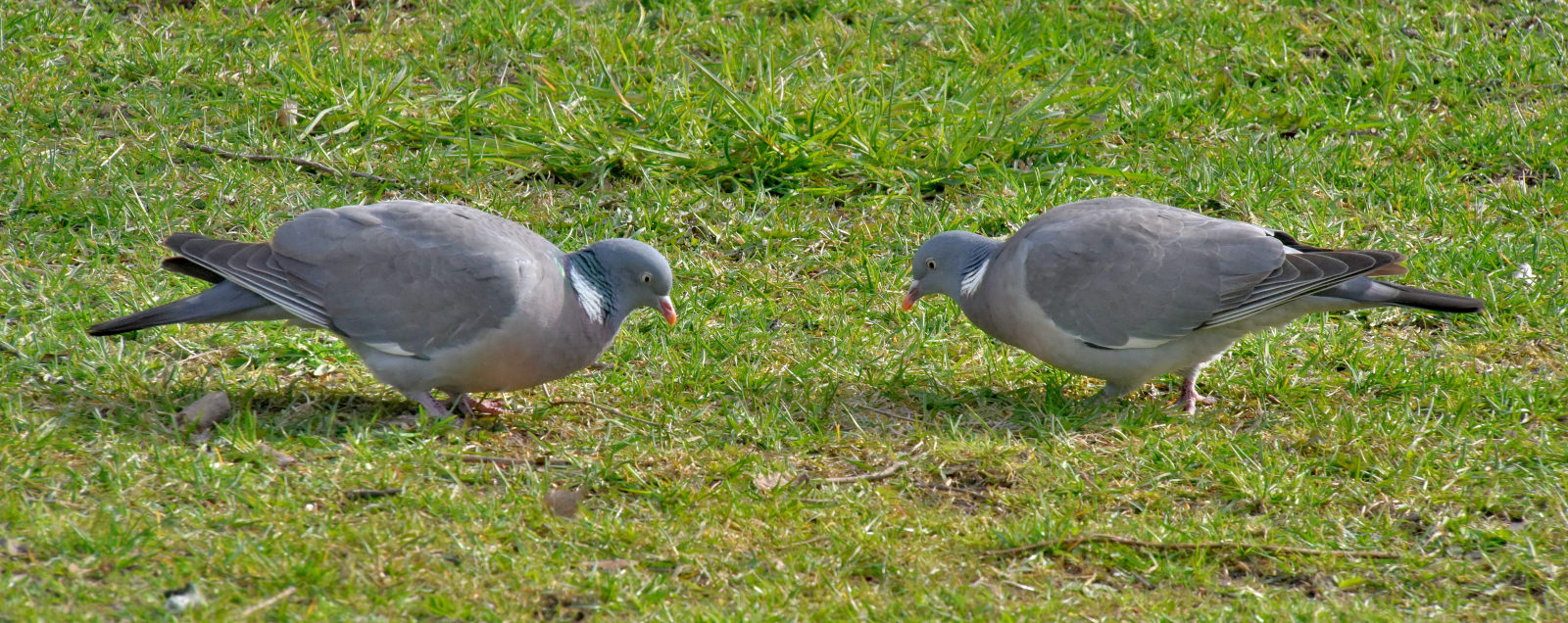Valokuvaaja: Reijo Juurinen