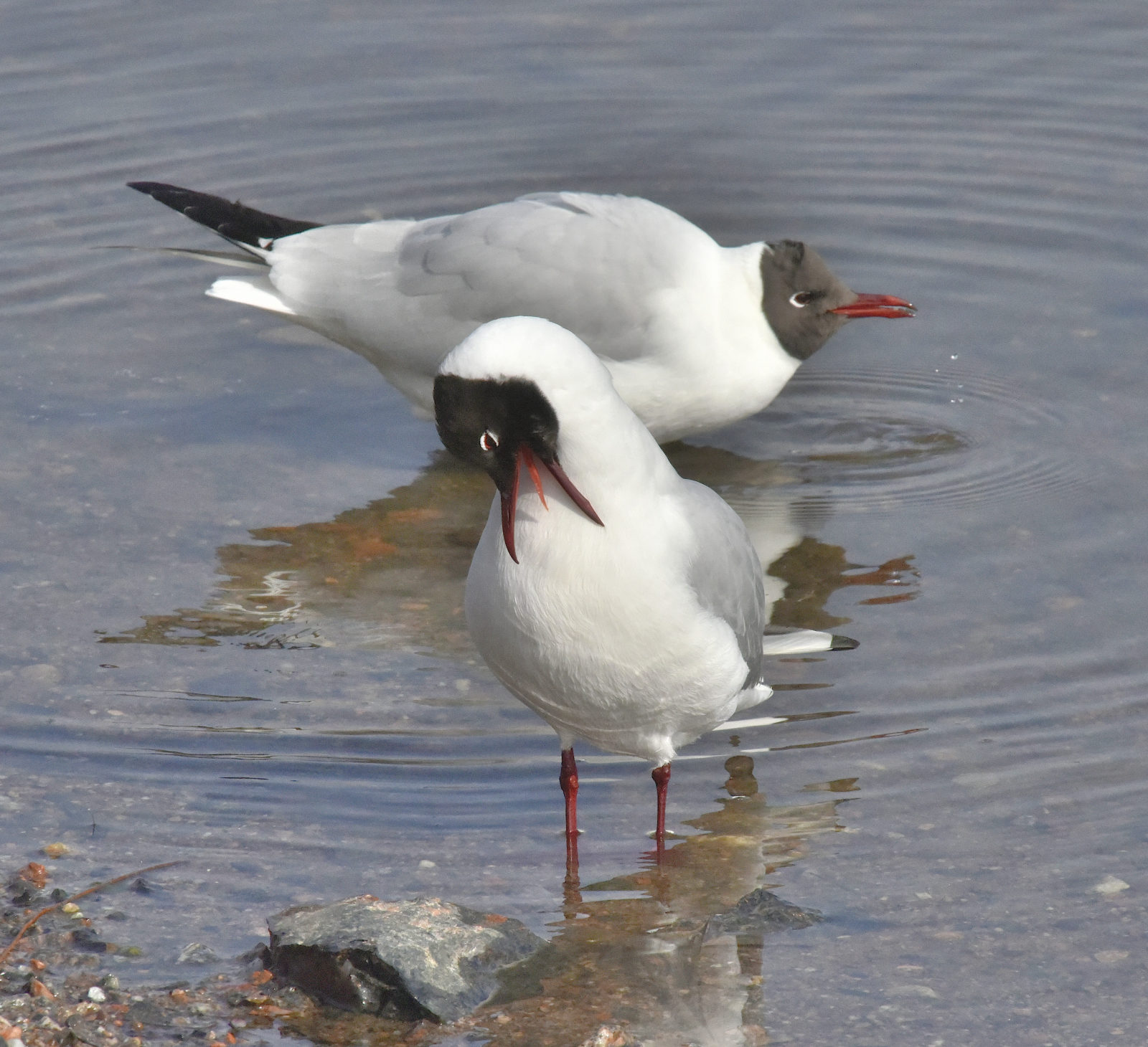 Valokuvaaja: Reijo Juurinen