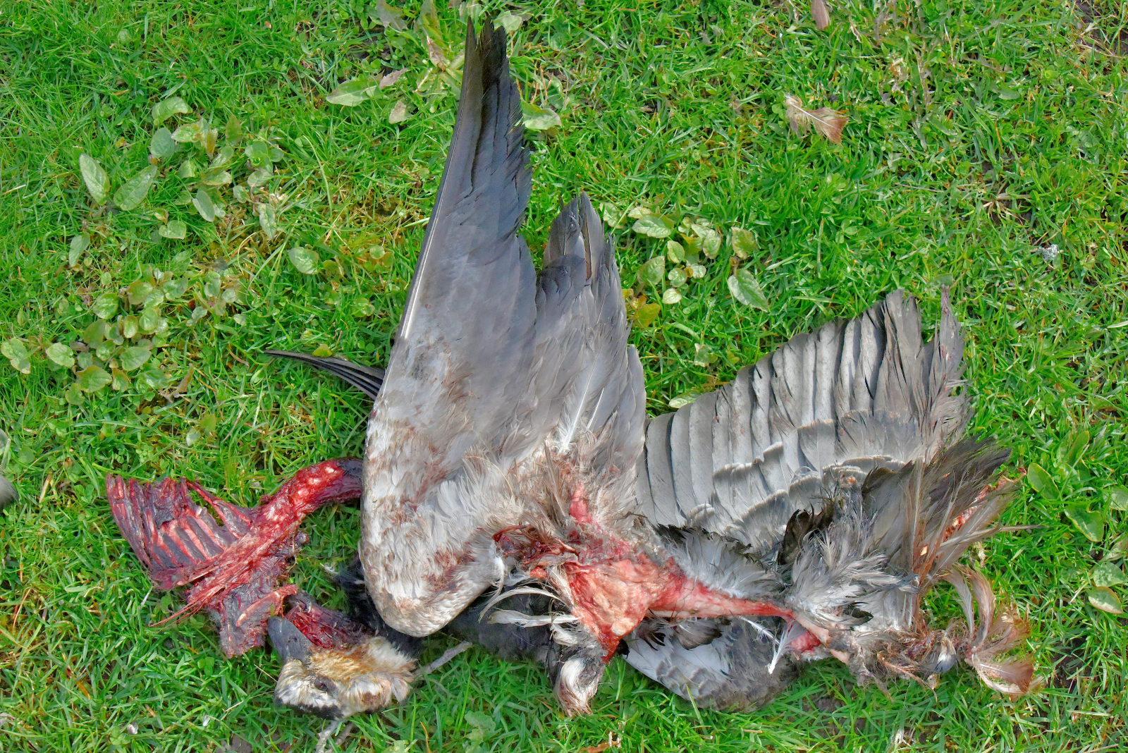 Valokuvaaja: Reijo Juurinen