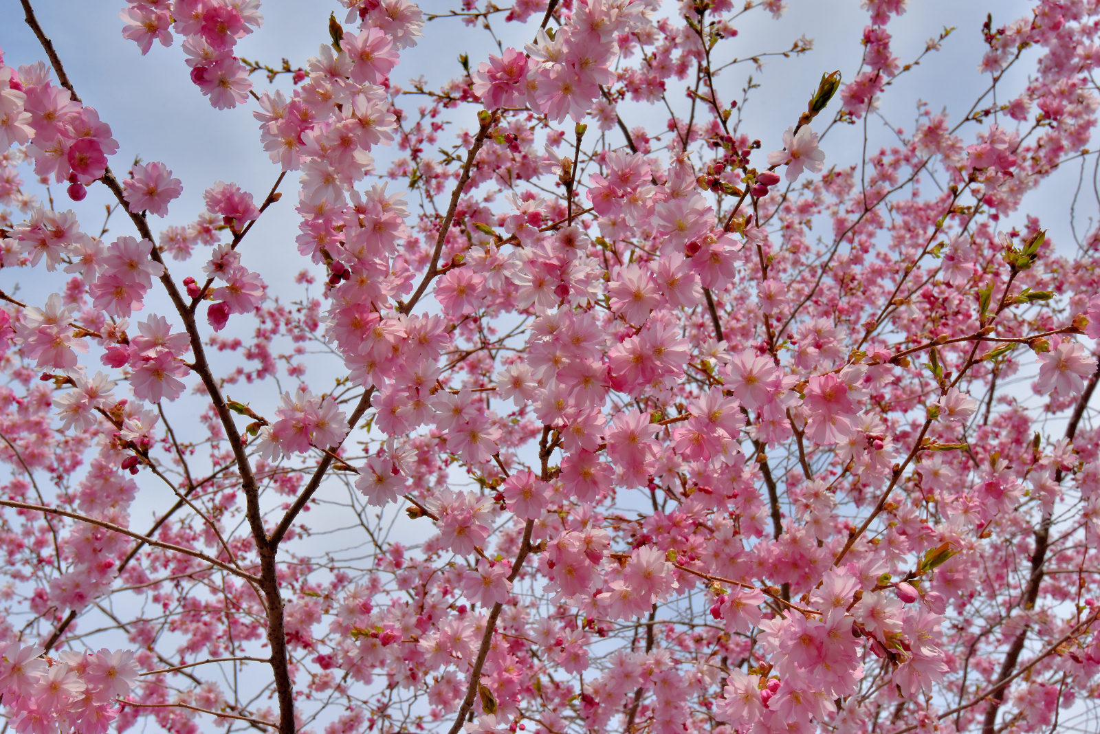 Valokuvaaja: Reijo Juurinen