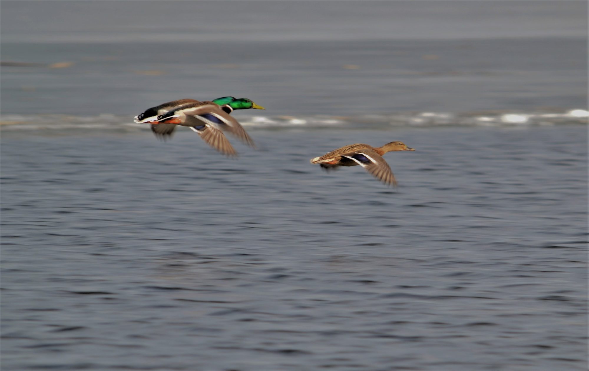 Valokuvaaja: satu välimaa