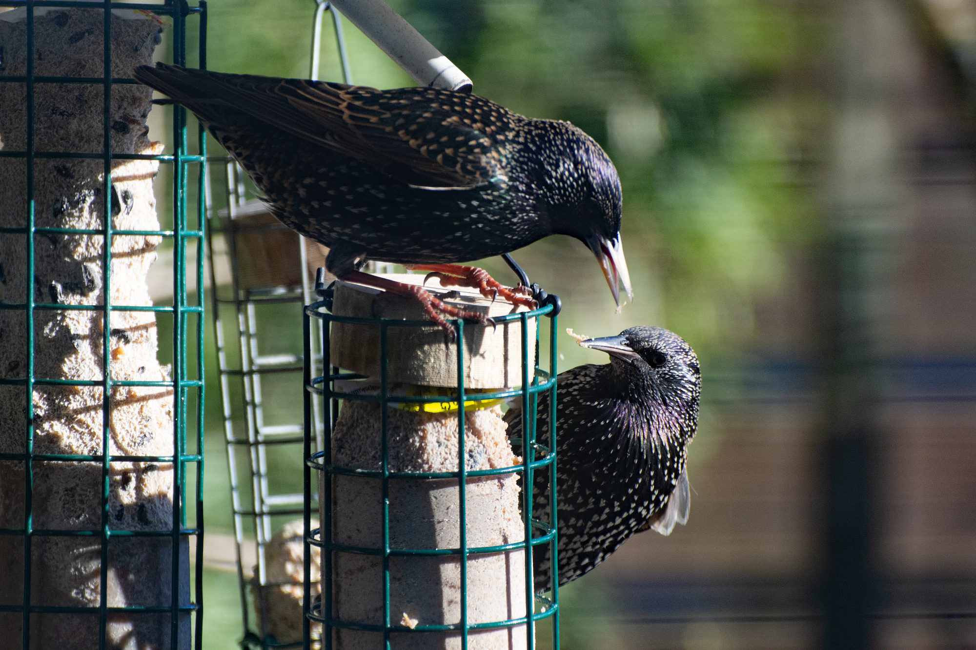 Valokuvaaja: Paavo Siukonen Valokuvaaja: Paavo Siukonen
