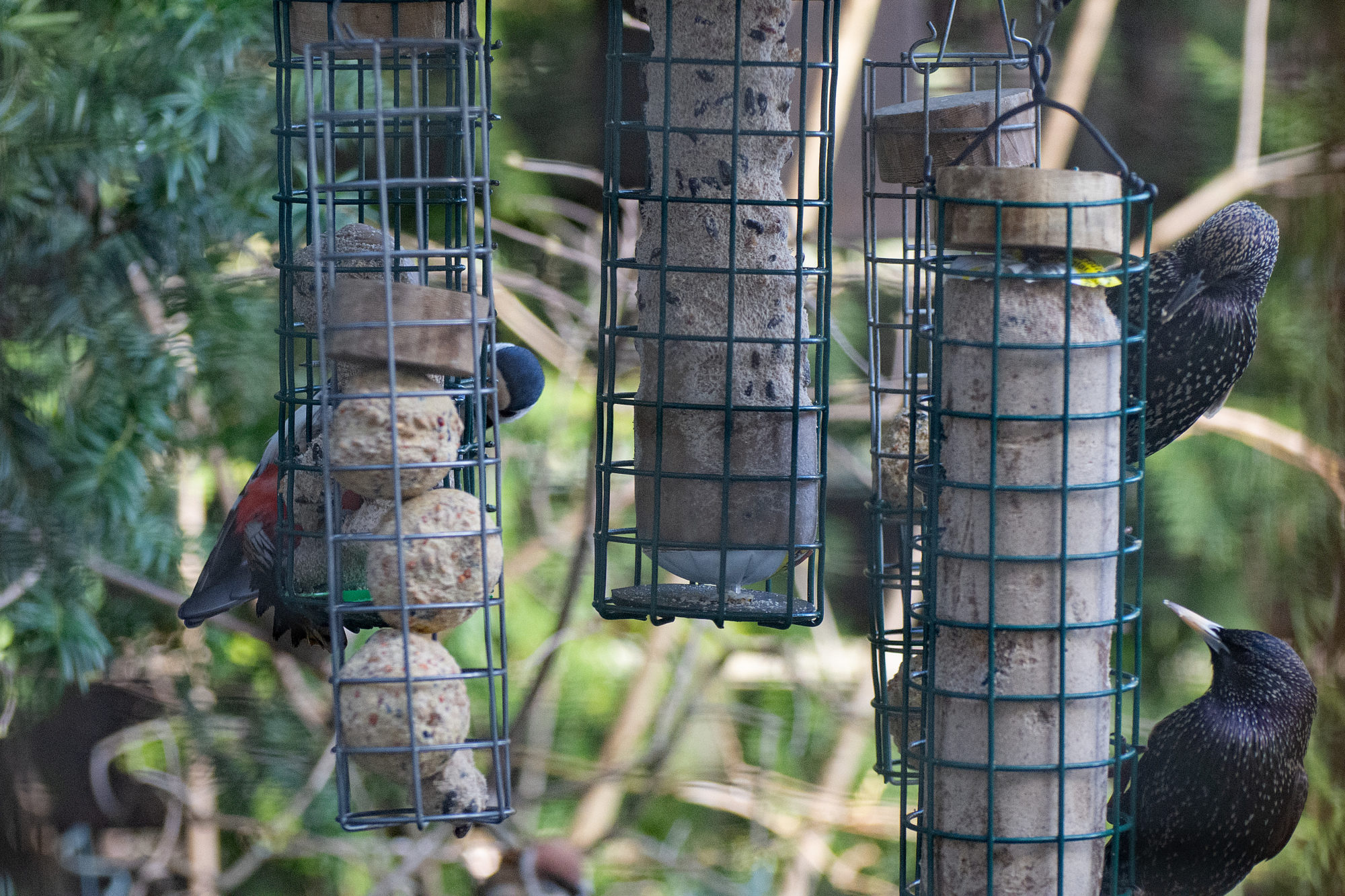 Valokuvaaja: Paavo Siukonen