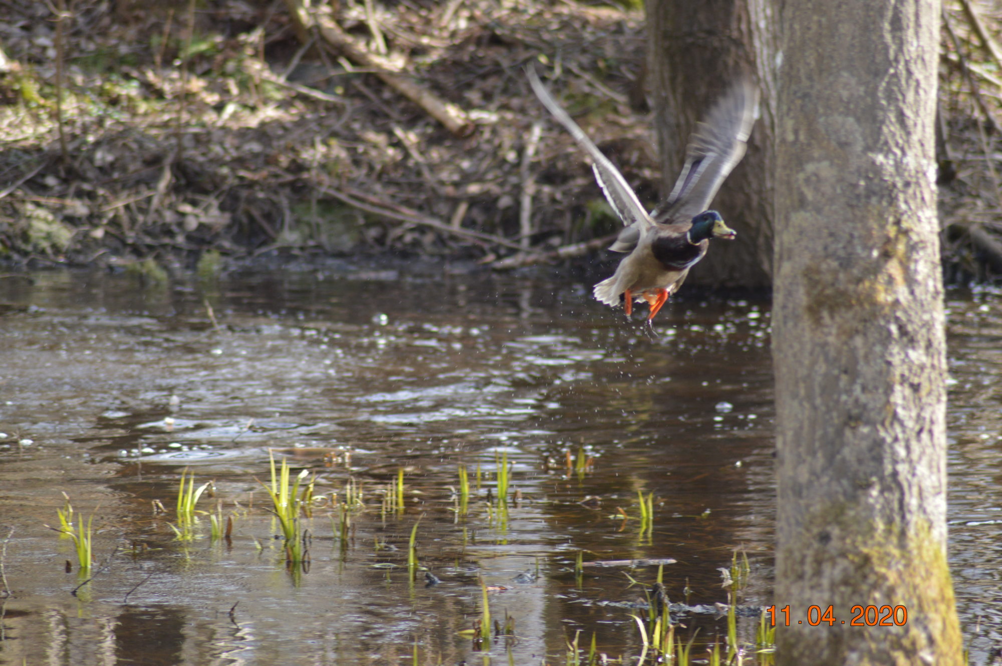 Valokuvaaja: Jari Jyrkänkoski Valokuvaaja: Jari Jyrkänkoski