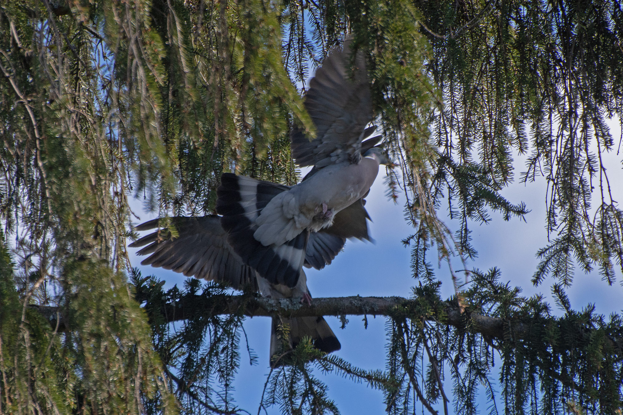 Valokuvaaja: Paavo Siukonen
