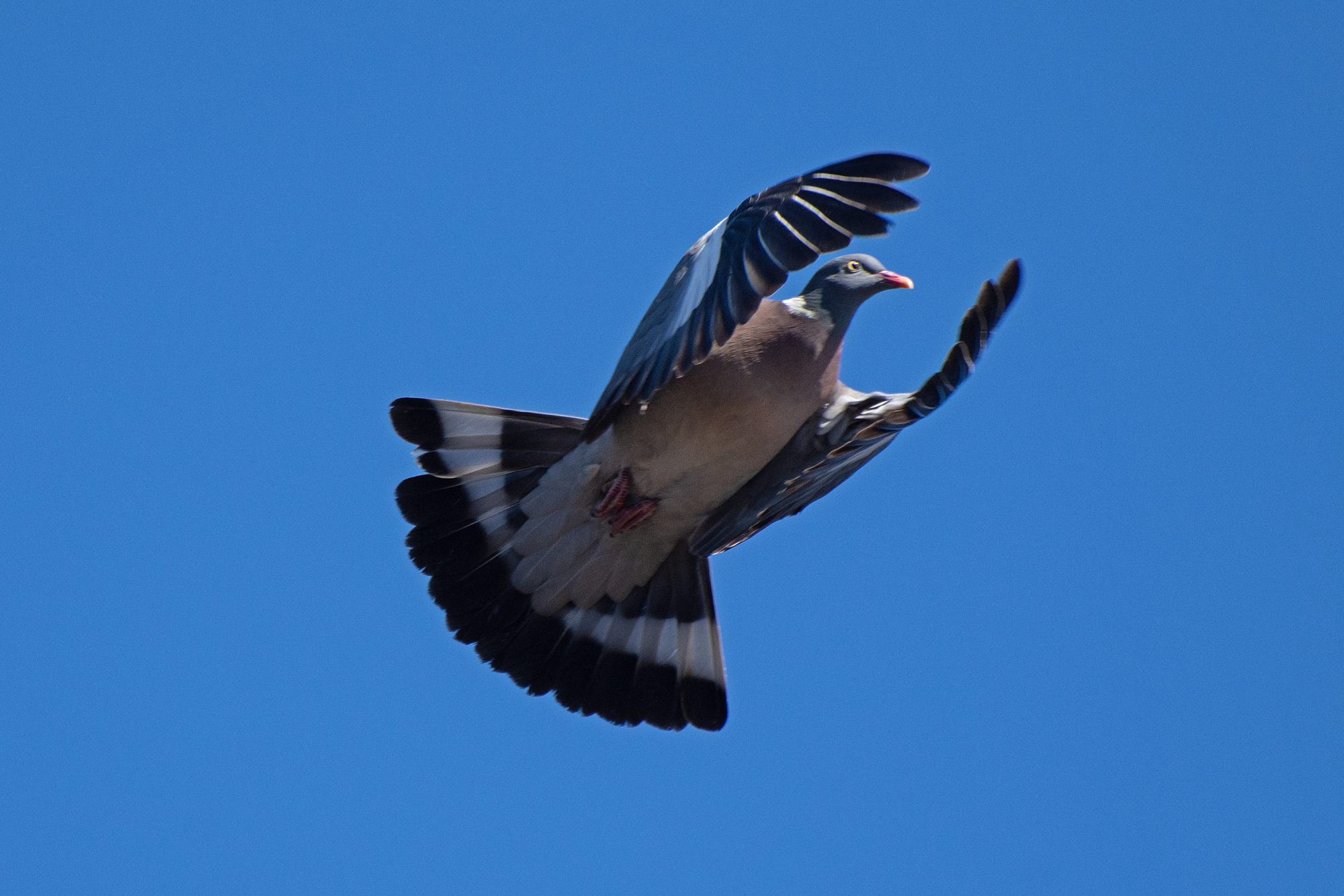Valokuvaaja: Paavo Siukonen