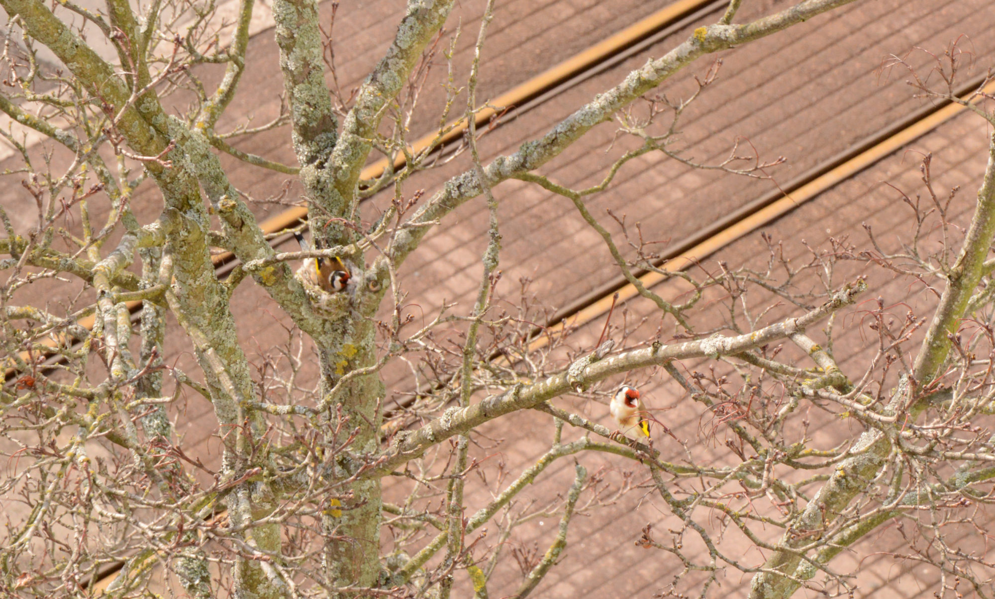 Valokuvaaja: Valeria Valanne