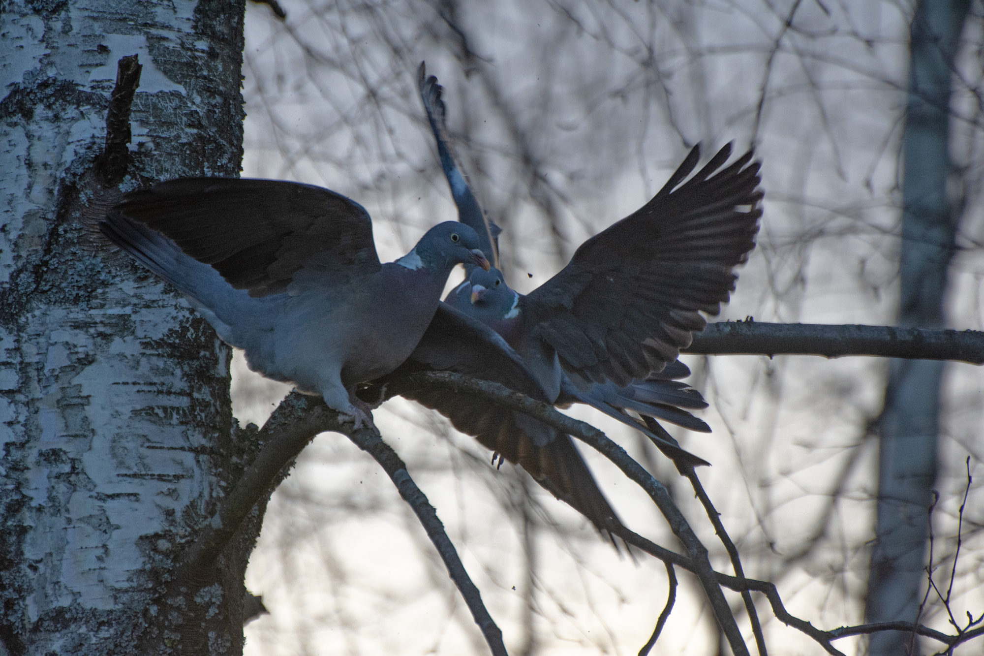 Valokuvaaja: Paavo Siukonen