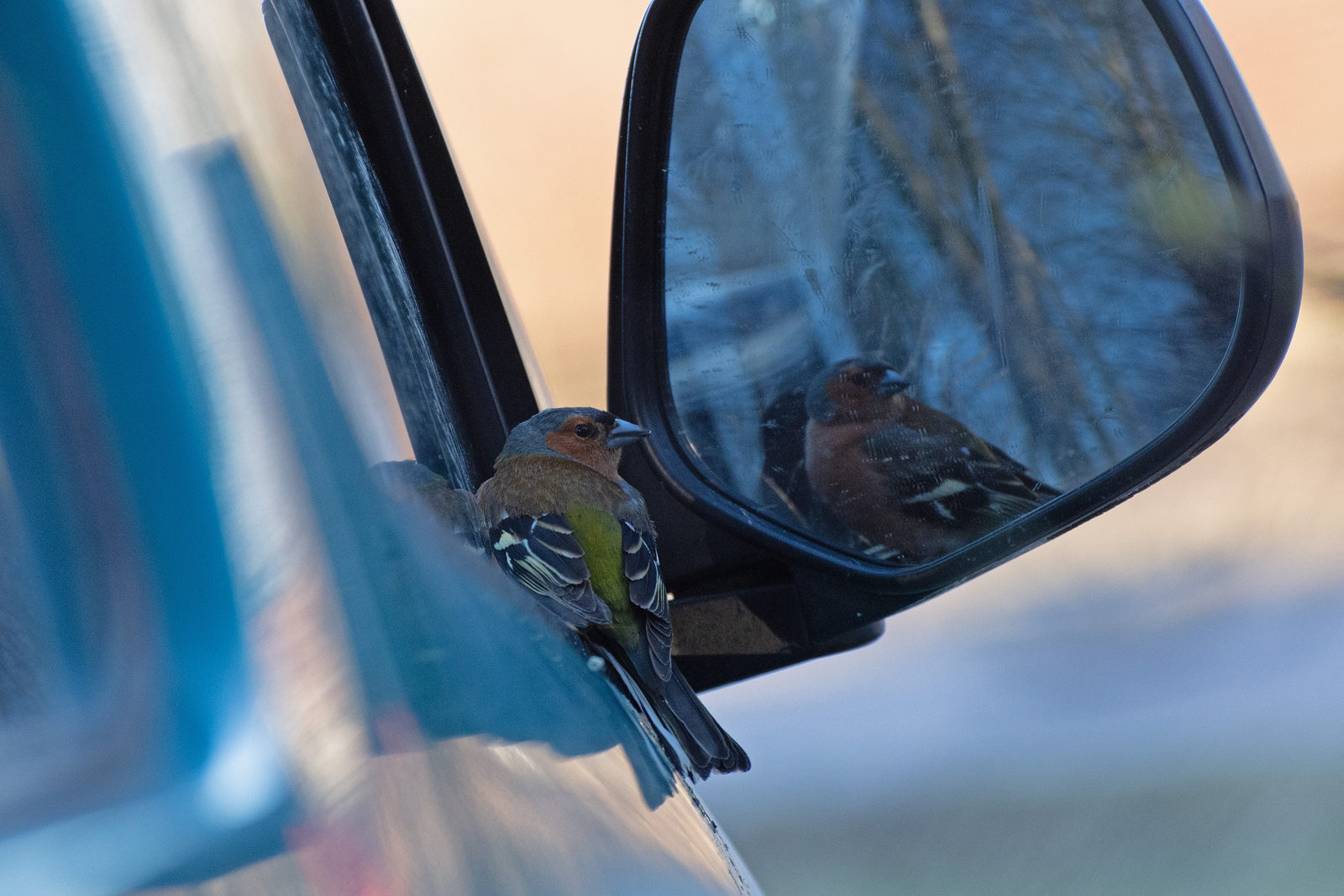 Valokuvaaja: Paavo Siukonen
