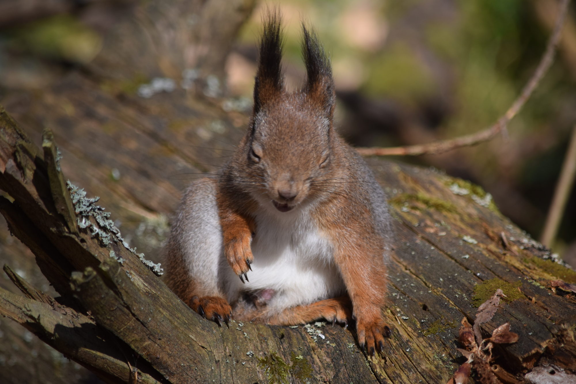 Valokuvaaja: Riitta Marjamäki