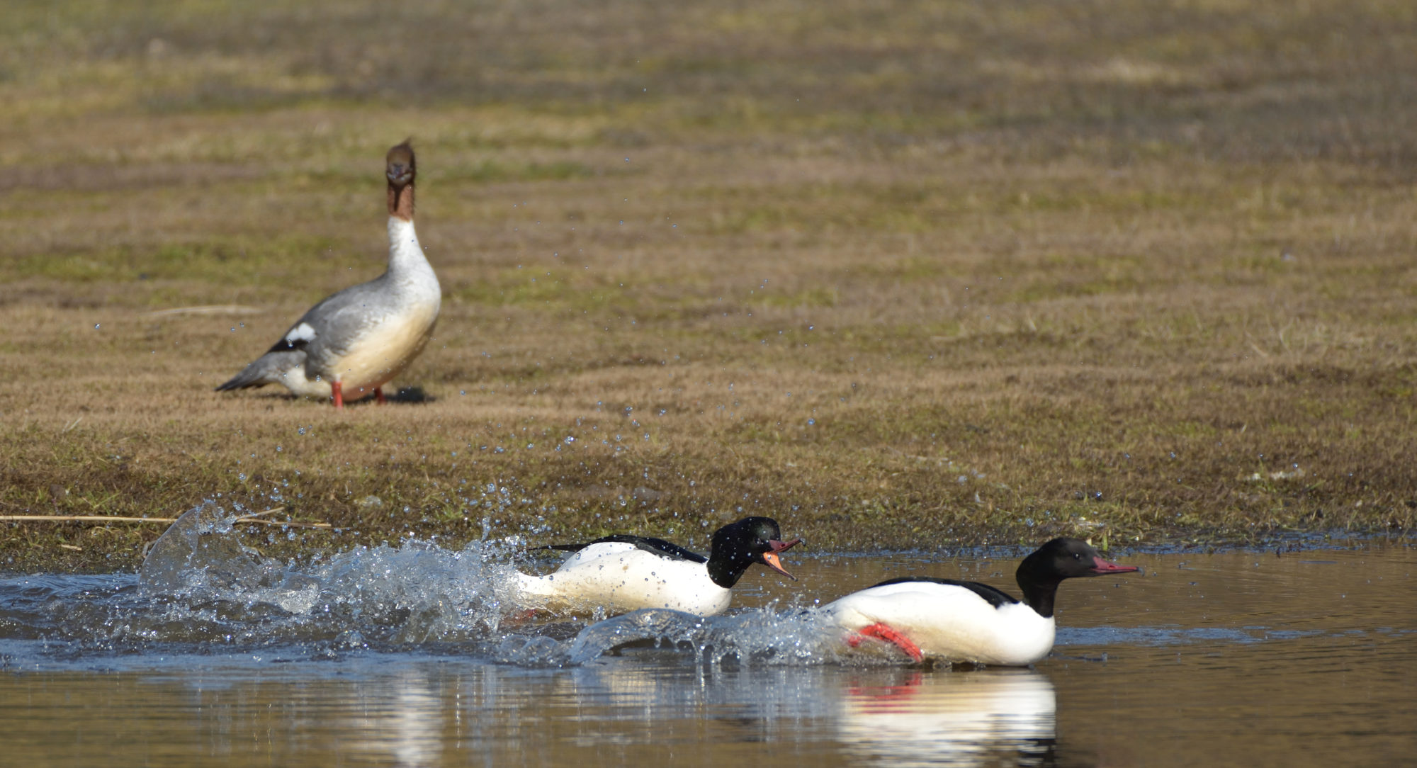 Valokuvaaja: Asko Heikkinen